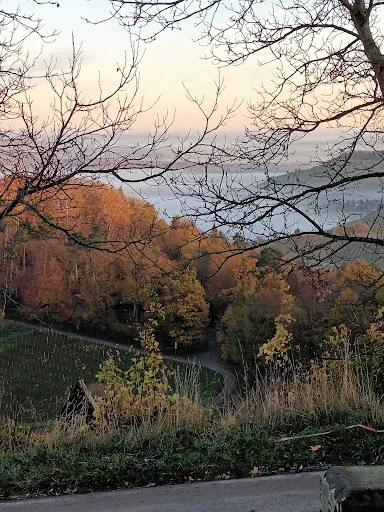 Imbiss Löwensteiner-Platte photo 5