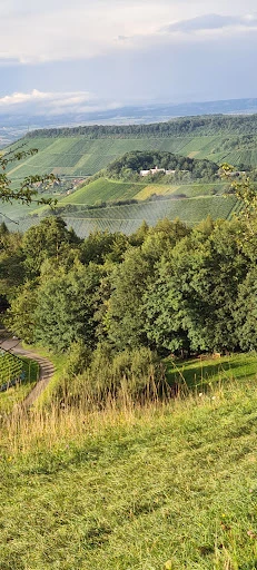 Imbiss Löwensteiner-Platte photo 4